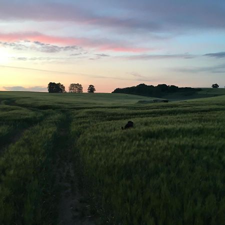 Broockhof Ferienwohnung Unterm Sternenhimmel In Mecklenburg Reimershagen Exteriér fotografie
