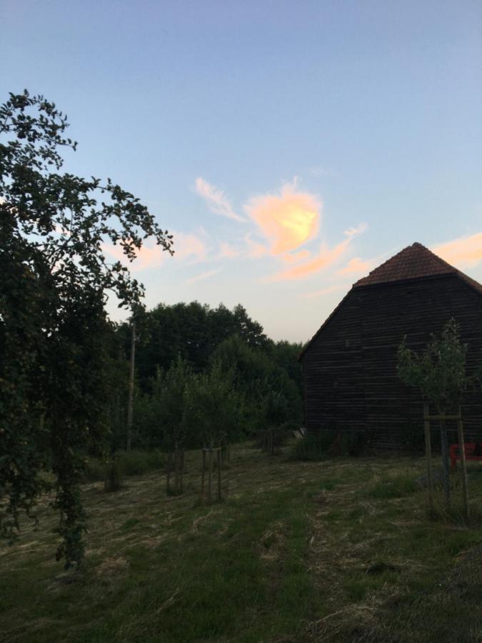 Broockhof Ferienwohnung Unterm Sternenhimmel In Mecklenburg Reimershagen Exteriér fotografie
